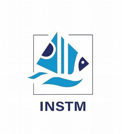 INSTM Logo